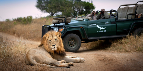 Safari Reservas Naturais Luxury na África do Sul